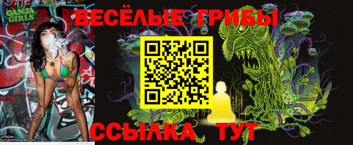 Псилоцибиновые грибы мицелий Славгород
